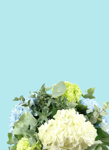 Same day Flowers Paddington